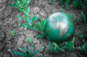 Agricultural challenges ahead