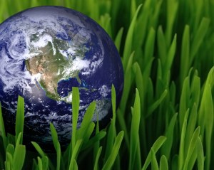 Food strategies for the world