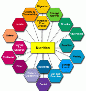 nutrition